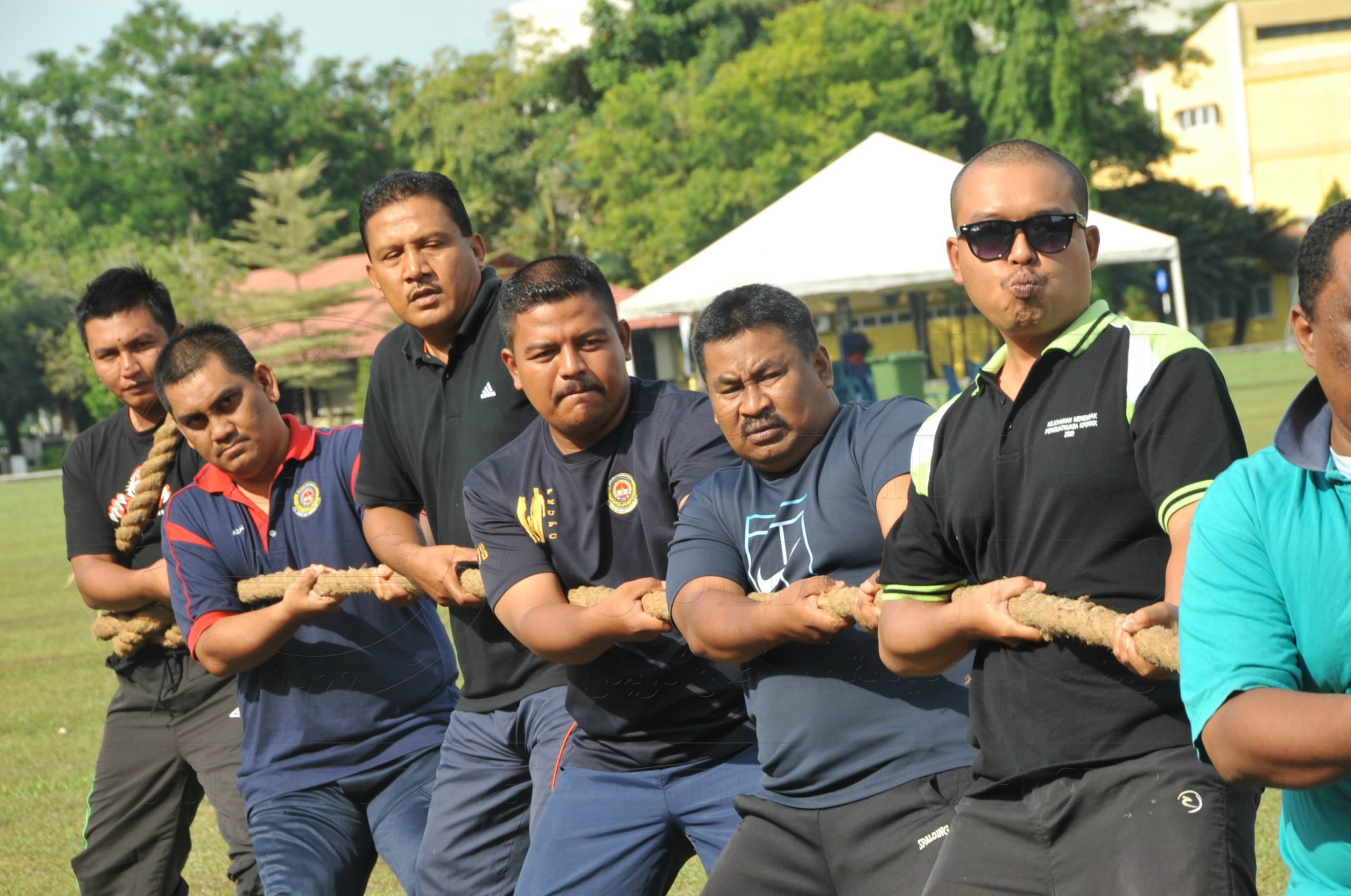 PRO 15 53 KIESTA HAS 5570